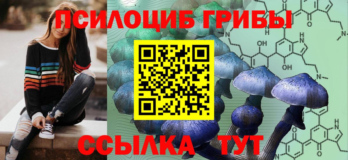 Пыть-Ях  Псилоцибиновые грибы GOLDEN TEACHER  Вход с VPN 